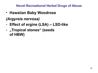 Novel Recreational Herbal Drugs of Abuse

• Hawaiian Baby Woodrose
(Argyreia nervosa)
- Effect of ergine (LSA) – LSD-like
- „Tropical stones“ (seeds
  of HBW)




                                                28
 