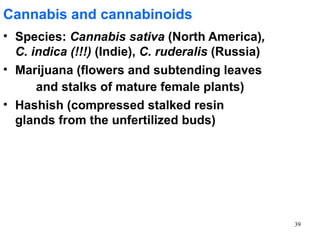 Cannabis and cannabinoids
• Species: Cannabis sativa (North America),
  C. indica (!!!) (Indie), C. ruderalis (Russia)
• Marijuana (flowers and subtending leaves
      and stalks of mature female plants)
• Hashish (compressed stalked resin
  glands from the unfertilized buds)




                                                   39
 