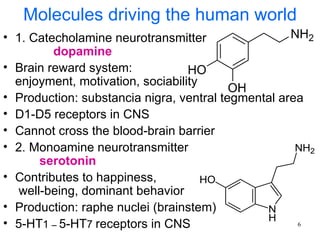 Molecules driving the human world
• 1. Catecholamine neurotransmitter
         dopamine
• Brain reward system:
  enjoyment, motivation, sociability
• Production: substancia nigra, ventral tegmental area
• D1-D5 receptors in CNS
• Cannot cross the blood-brain barrier
• 2. Monoamine neurotransmitter
       serotonin
• Contributes to happiness,
   well-being, dominant behavior
• Production: raphe nuclei (brainstem)
• 5-HT1 – 5-HT7 receptors in CNS                     6
 