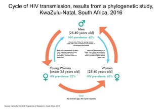 Cycle of HIV transmission, results from a phylogenetic study,
KwaZulu-Natal, South Africa, 2016
Source: Centre for the AIDS Programme of Research in South Africa, 2016.
Among men linked to young women
(<25), 39% were simultaneously linked to
a 25-40-year-old woman
Most HIV transmission is likely
from higher prevalence (men
25-40 years old) to lower
prevalence )women under 25
years old)
Most HIV transmission is
likely from higher prevalence
(women 25-40 years old) to
lower prevalence (men 25-40
years old)
As women age, the cycle repeats
 