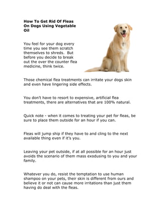 How To Get Rid Of Fleas
On Dogs Using Vegetable
Oil


You feel for your dog every
time you see them scratch
themselves to shreds. But
before you decide to break
out the over the counter flea
medicine, think twice.


Those chemical flea treatments can irritate your dogs skin
and even have lingering side effects.


You don’t have to resort to expensive, artificial flea
treatments, there are alternatives that are 100% natural.


Quick note - when it comes to treating your pet for fleas, be
sure to place them outside for an hour if you can.


Fleas will jump ship if they have to and cling to the next
available thing even if it’s you.


Leaving your pet outside, if at all possible for an hour just
avoids the scenario of them mass exodusing to you and your
family.


Whatever you do, resist the temptation to use human
shampoo on your pets, their skin is different from ours and
believe it or not can cause more irritations than just them
having do deal with the fleas.
 