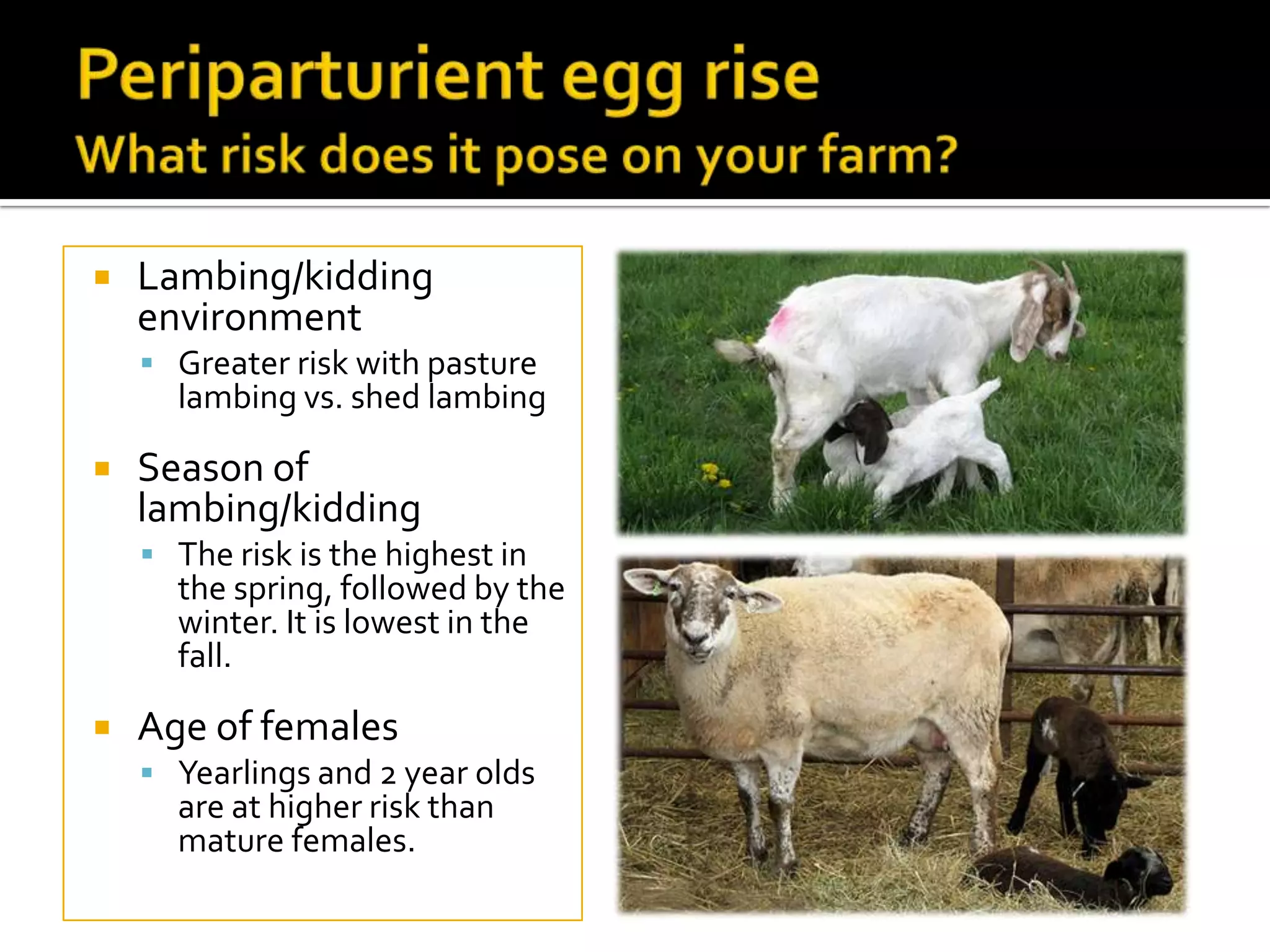 

Lambing/kidding
environment
 Greater risk with pasture

lambing vs. shed lambing



Season of
lambing/kidding
 The risk is the highest in

the spring, followed by the
winter. It is lowest in the
fall.



Age of females
 Yearlings and 2 year olds

are at higher risk than
mature females.

 