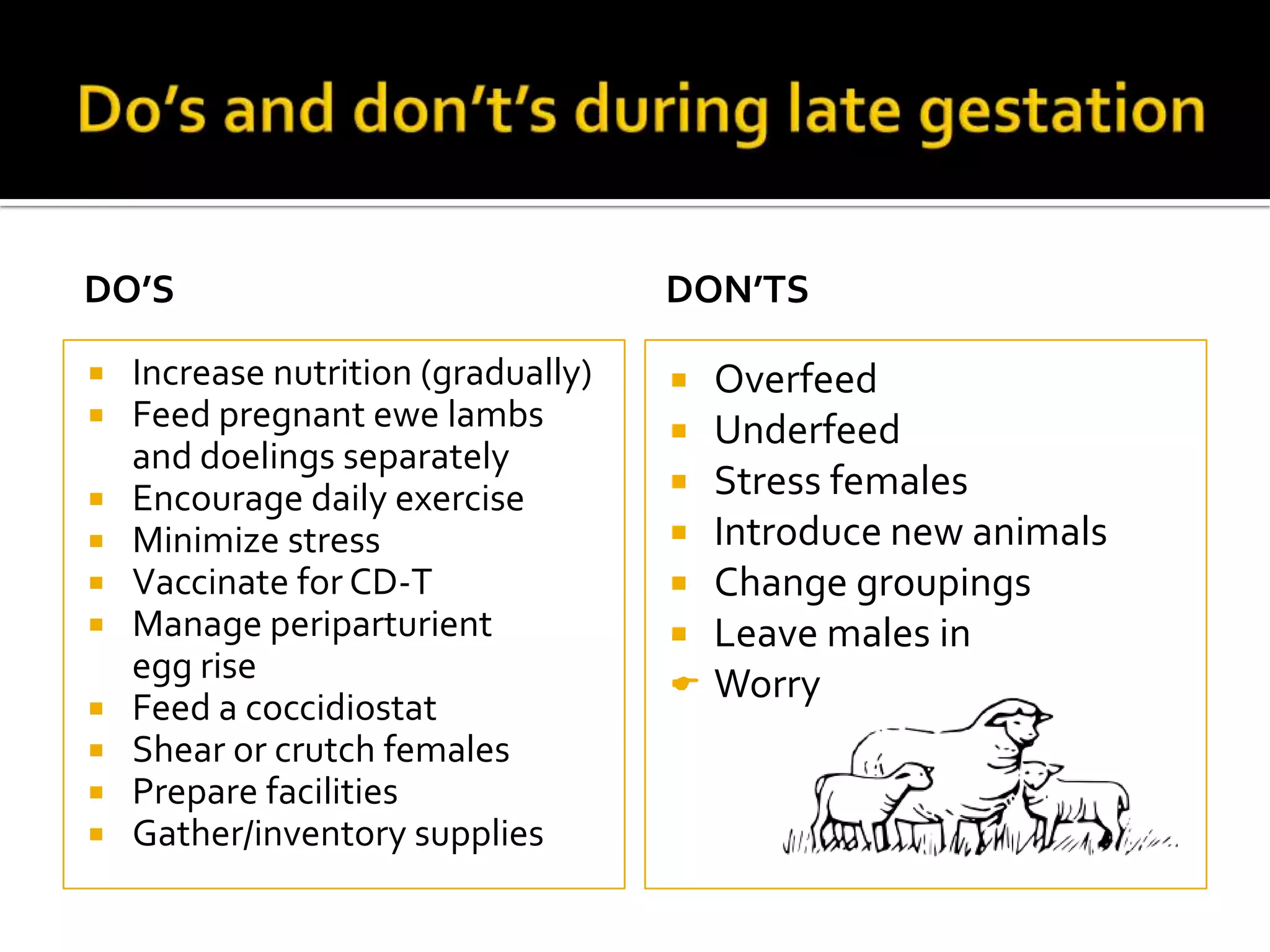 DO’S











Increase nutrition (gradually)
Feed pregnant ewe lambs
and doelings separately
Encourage daily exercise
Minimize stress
Vaccinate for CD-T
Manage periparturient
egg rise
Feed a coccidiostat
Shear or crutch females
Prepare facilities
Gather/inventory supplies

DON’TS

Overfeed
Underfeed
 Stress females
 Introduce new animals
 Change groupings
 Leave males in
 Worry



 