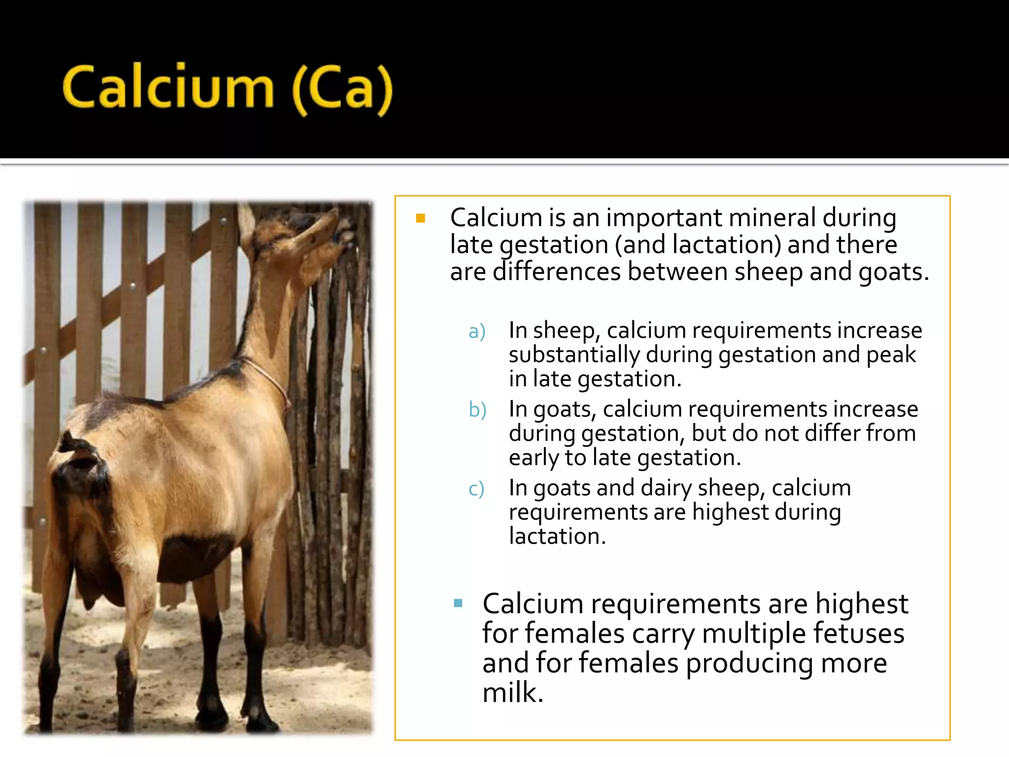 

Calcium is an important mineral during
late gestation (and lactation) and there
are differences between sheep and goats.
a) In sheep, calcium requirements increase

substantially during gestation and peak
in late gestation.
b) In goats, calcium requirements increase
during gestation, but do not differ from
early to late gestation.
c) In goats and dairy sheep, calcium
requirements are highest during
lactation.

 Calcium requirements are highest

for females carry multiple fetuses
and for females producing more
milk.

 