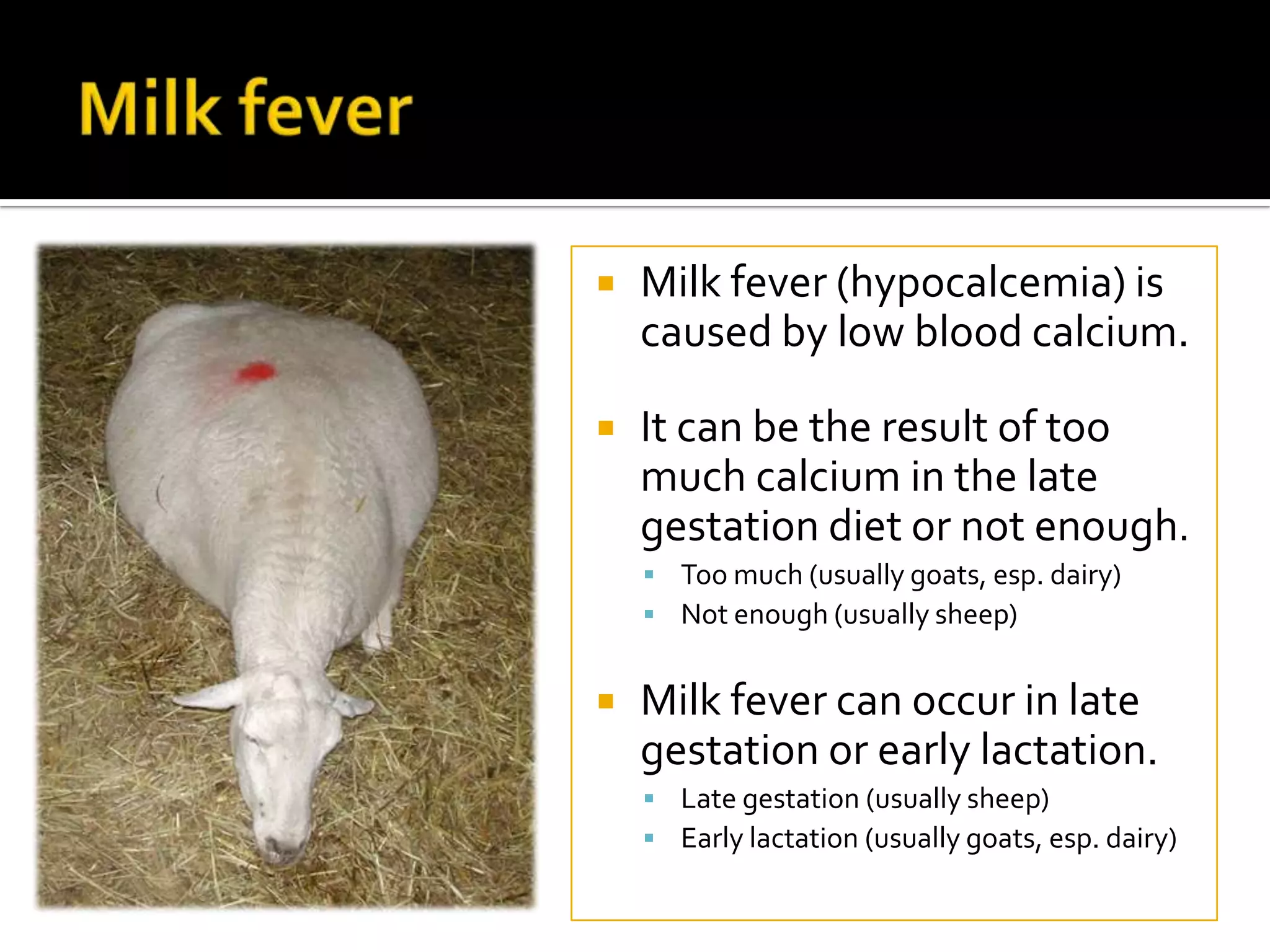 

Milk fever (hypocalcemia) is
caused by low blood calcium.



It can be the result of too
much calcium in the late
gestation diet or not enough.
 Too much (usually goats, esp. dairy)
 Not enough (usually sheep)



Milk fever can occur in late
gestation or early lactation.
 Late gestation (usually sheep)
 Early lactation (usually goats, esp. dairy)

 