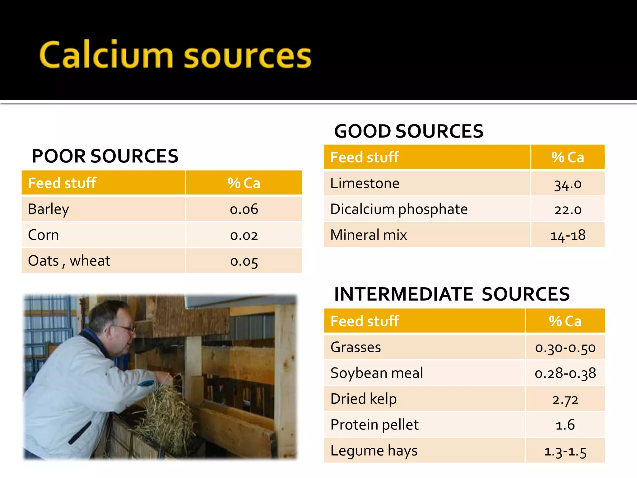 GOOD SOURCES
POOR SOURCES

Feed stuff

% Ca

Feed stuff

% Ca

Limestone

34.0

Barley

0.06

Dicalcium phosphate

22.0

Corn

0.02

Mineral mix

14-18

Oats , wheat

0.05

INTERMEDIATE SOURCES
Feed stuff

% Ca

Grasses

0.30-0.50

Soybean meal

0.28-0.38

Dried kelp

2.72

Protein pellet

1.6

Legume hays

1.3-1.5

 