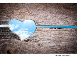 akkaradeck/Shutterstock
 