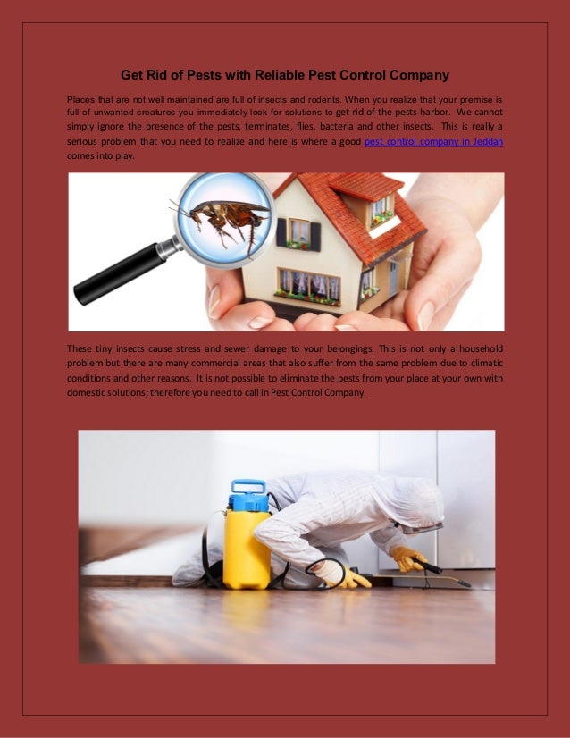 Get rid of pests with reliable pest control company