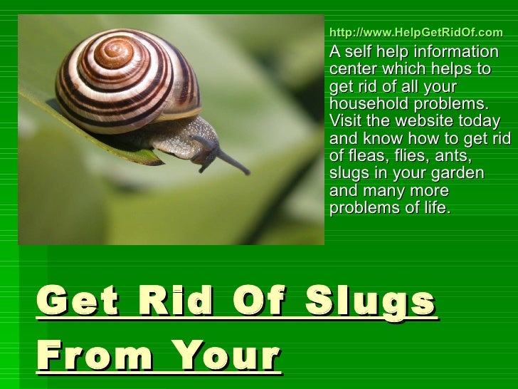 Get Rid Of Slugs From Your Garden
