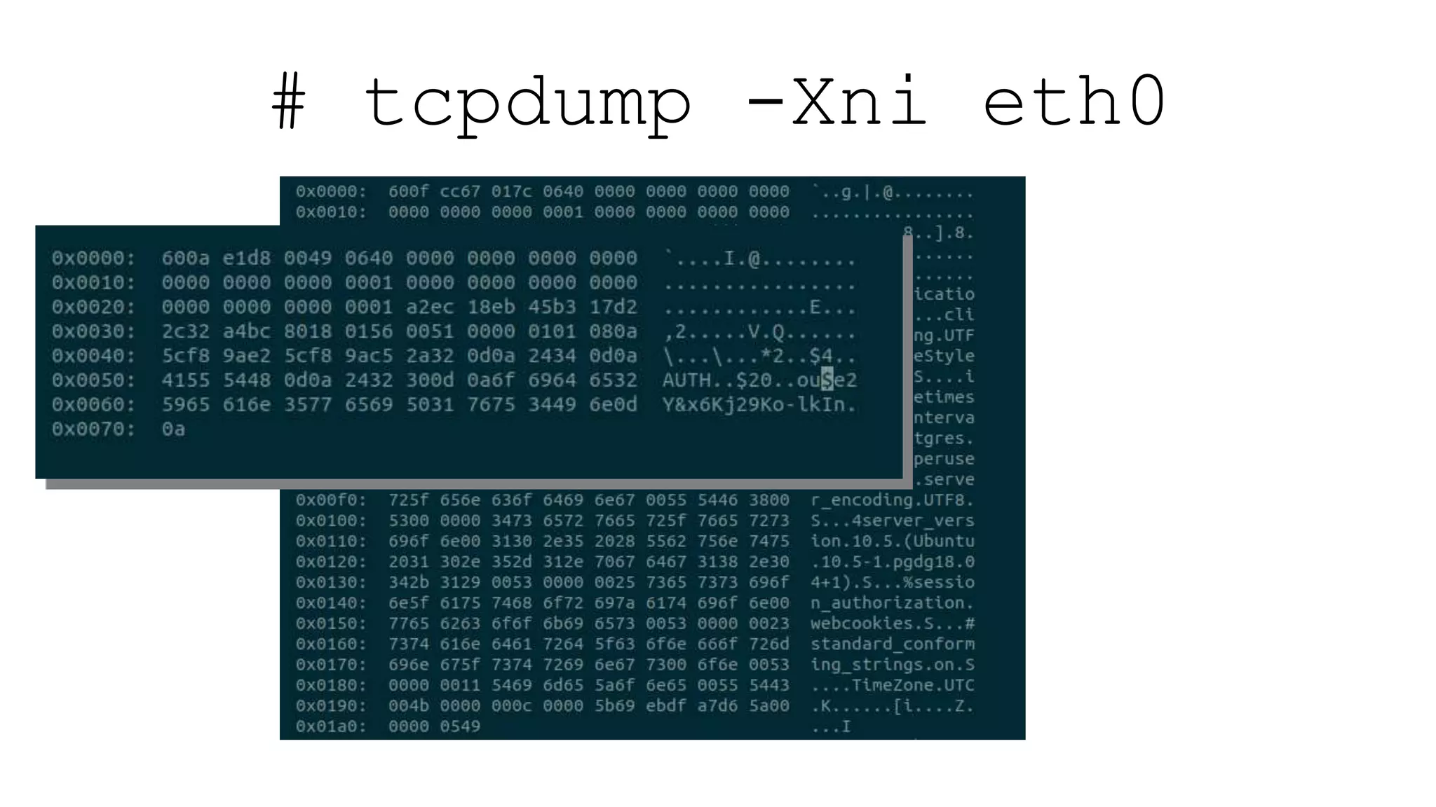 # tcpdump -Xni eth0
 