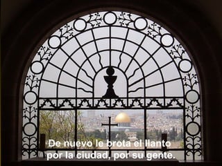 De nuevo le brota el llanto
por la ciudad, por su gente.
 