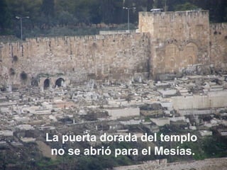 La puerta dorada del templo
no se abrió para el Mesías.
 