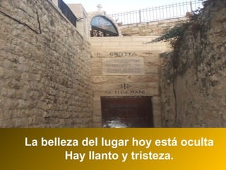 La belleza del lugar hoy está oculta
Hay llanto y tristeza.
 