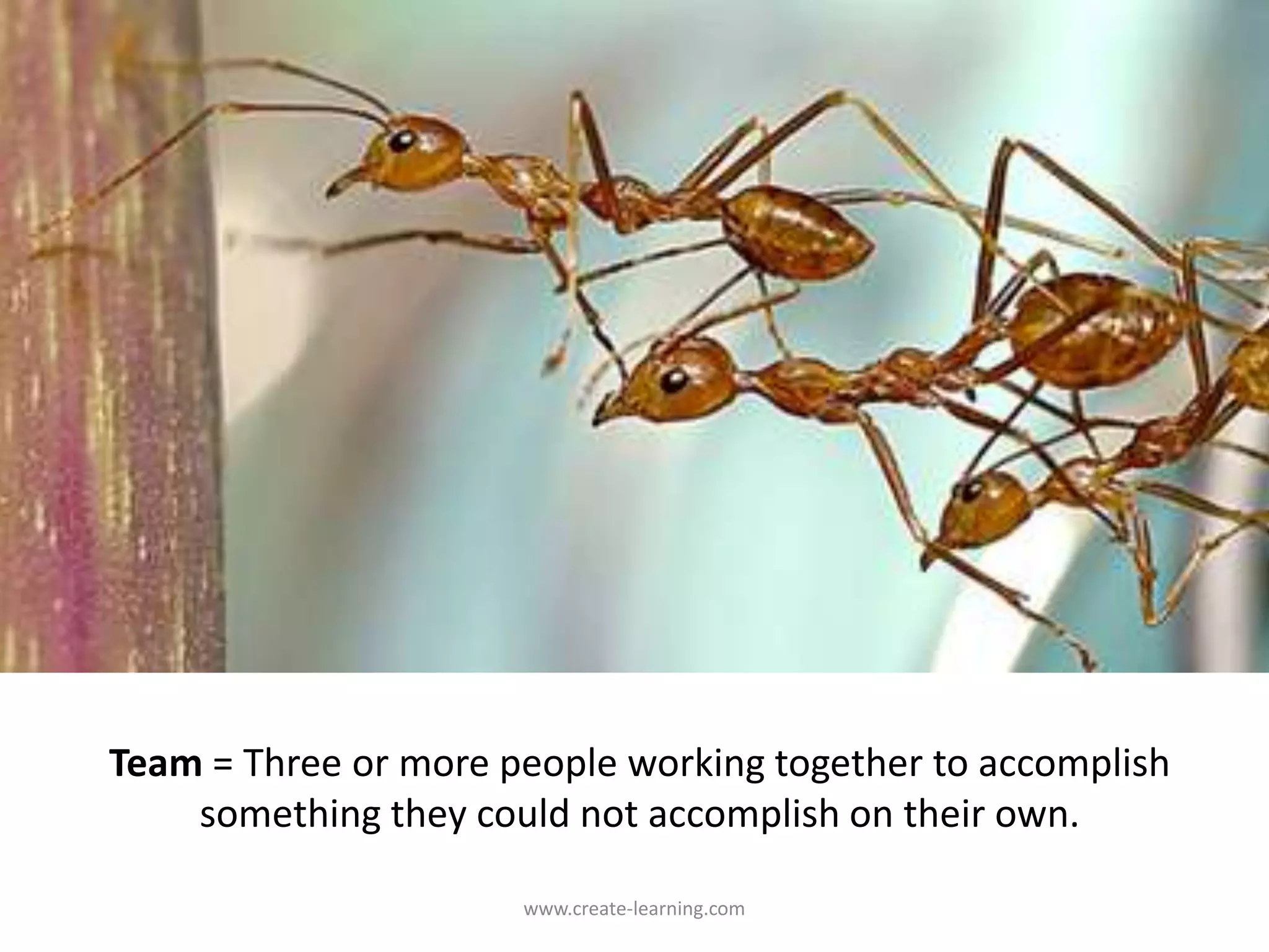 Team = Three or more people working together to accomplish
something they could not accomplish on their own.
www.create-learning.com
 