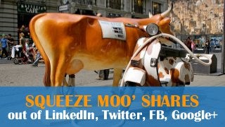 SQUEEZE MOO’ SHARES
out of LinkedIn, Twitter, FB, Google+
 