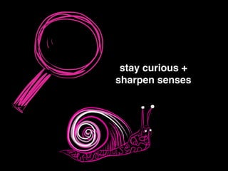 stay curious +!
sharpen senses
 