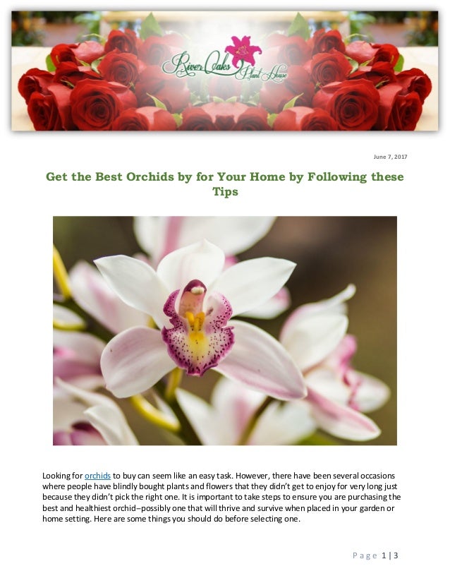 Get the Best Orchids by for Your Home by Following these Tips