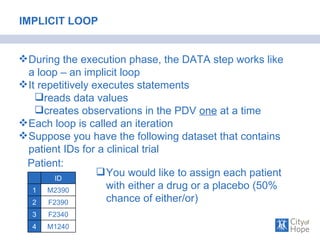 Get the scoop on the loop how best to write a loop in the data step | PPT