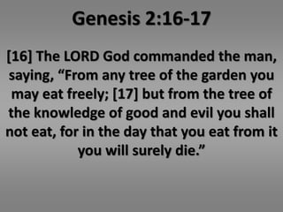 Genesis 2:16-17 
[16] The LORD God commanded the man, 
saying, “From any tree of the garden you 
may eat freely; [17] but from the tree of 
the knowledge of good and evil you shall 
not eat, for in the day that you eat from it 
you will surely die.” 
 