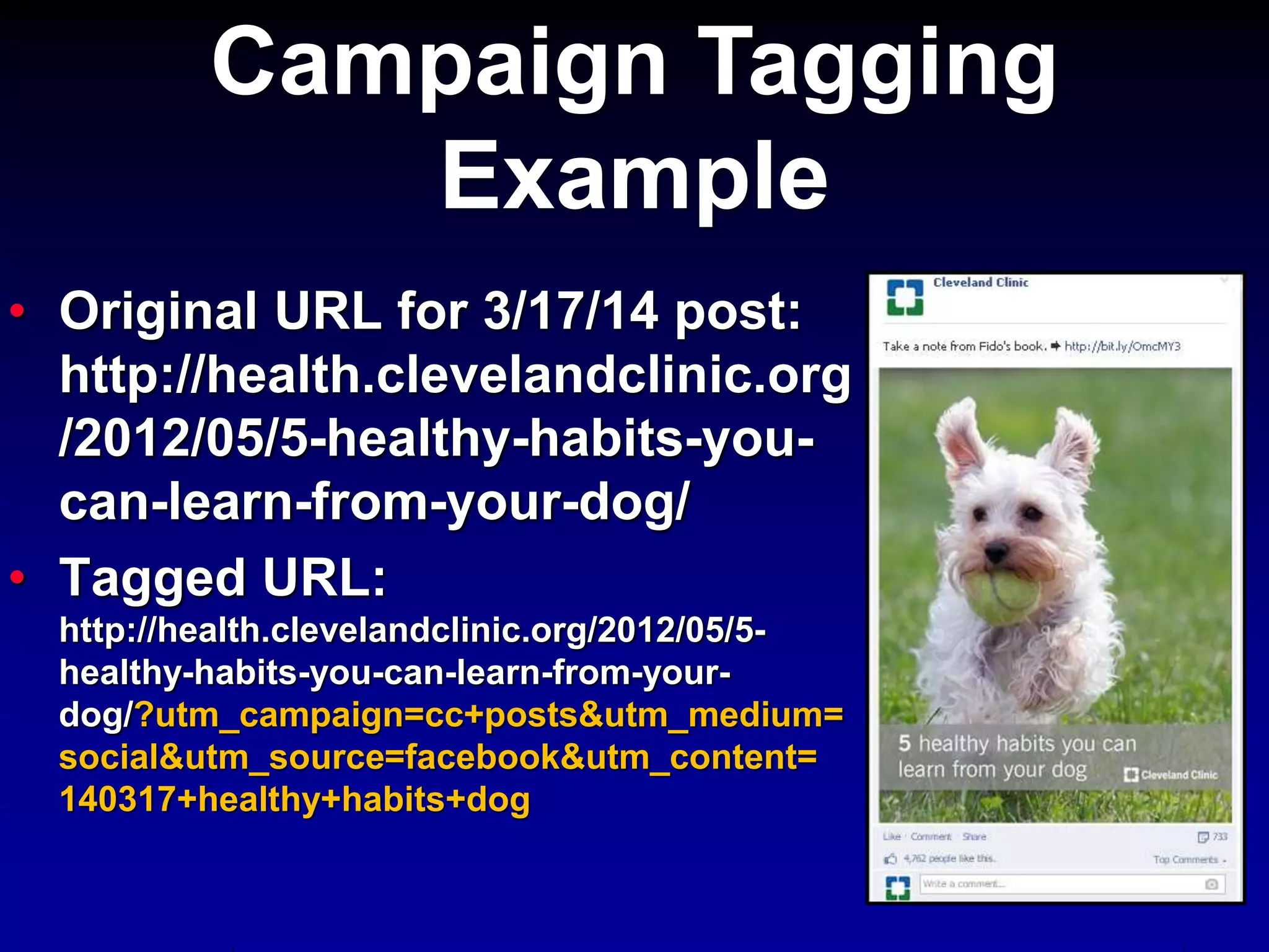 • Original URL for 3/17/14 post:
http://health.clevelandclinic.org
/2012/05/5-healthy-habits-you-
can-learn-from-your-dog/
• Tagged URL:
http://health.clevelandclinic.org/2012/05/5-
healthy-habits-you-can-learn-from-your-
dog/?utm_campaign=cc+posts&utm_medium=
social&utm_source=facebook&utm_content=
140317+healthy+habits+dog
Campaign Tagging
Example
 