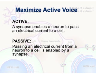 © Speak and Write, Inc. Do not copy, transmit, or distribute.
Maximize Active Voice
ACTIVE:
A synapse enables a neuron to pass
an electrical current to a cell.
!
PASSIVE:
Passing an electrical current from a
neuron to a cell is enabled by a
synapse.
 