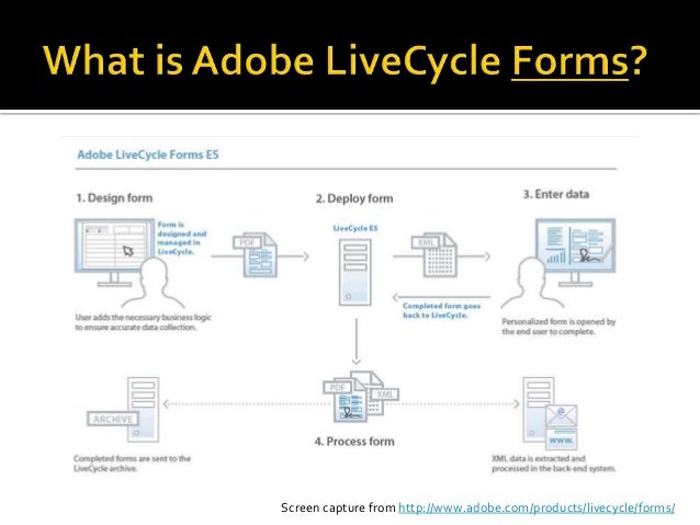 How To Create A Dynamic Chart In Adobe Livecycle Designer Es4 – XSDQFA