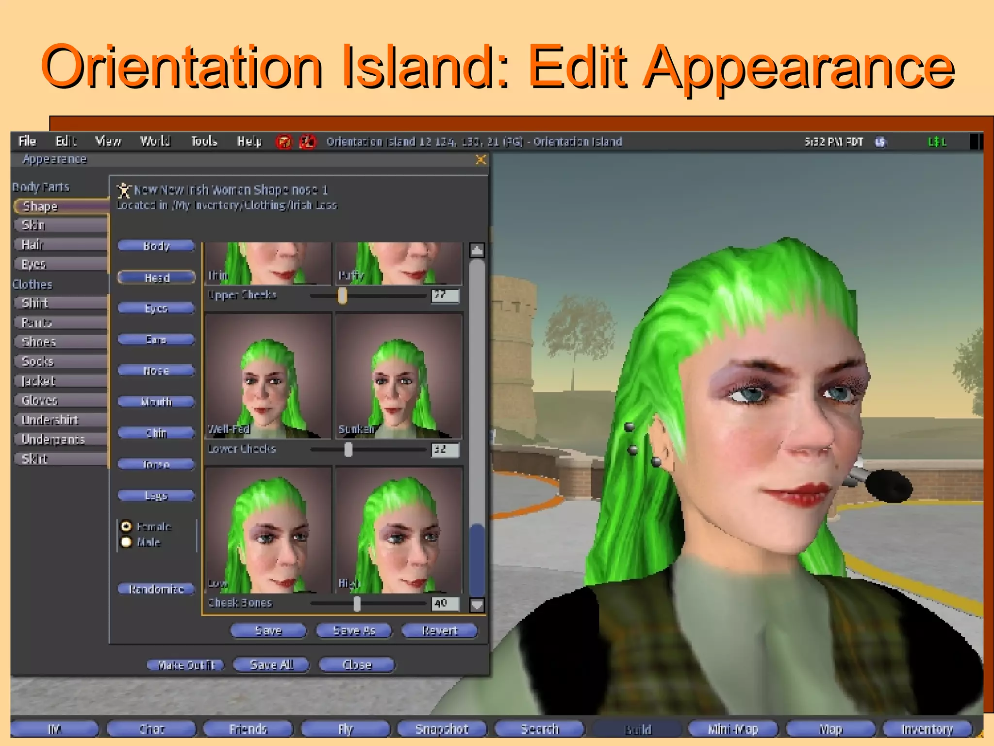 Orientation Island: Edit Appearance 