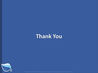 Getting Started in the Mobile Web