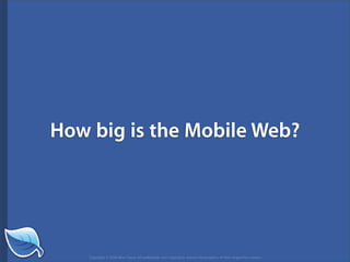 Getting Started in the Mobile Web