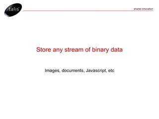 Store any stream of binary data Images, documents, Javascript, etc 
