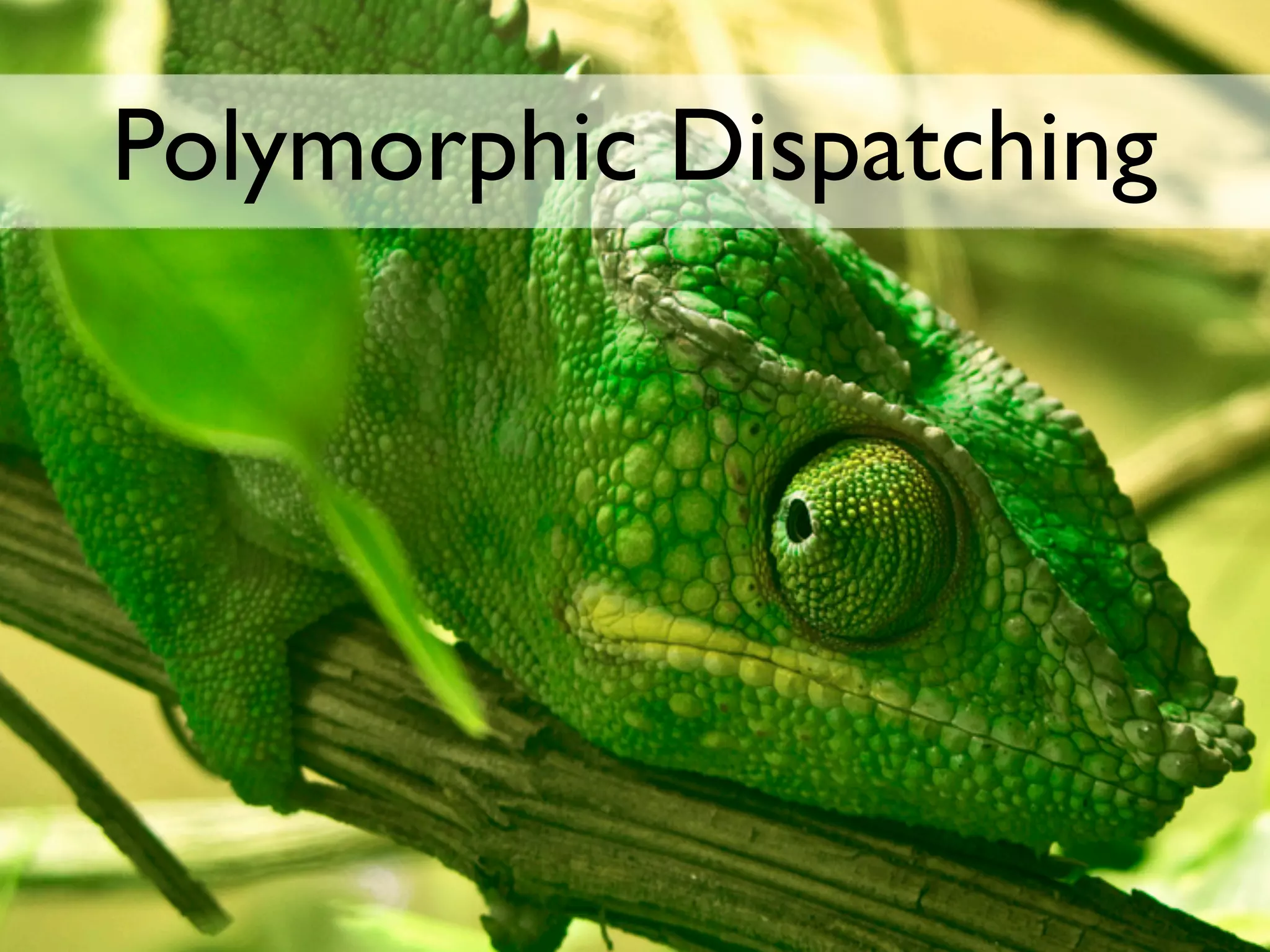 Polymorphic Dispatching
 