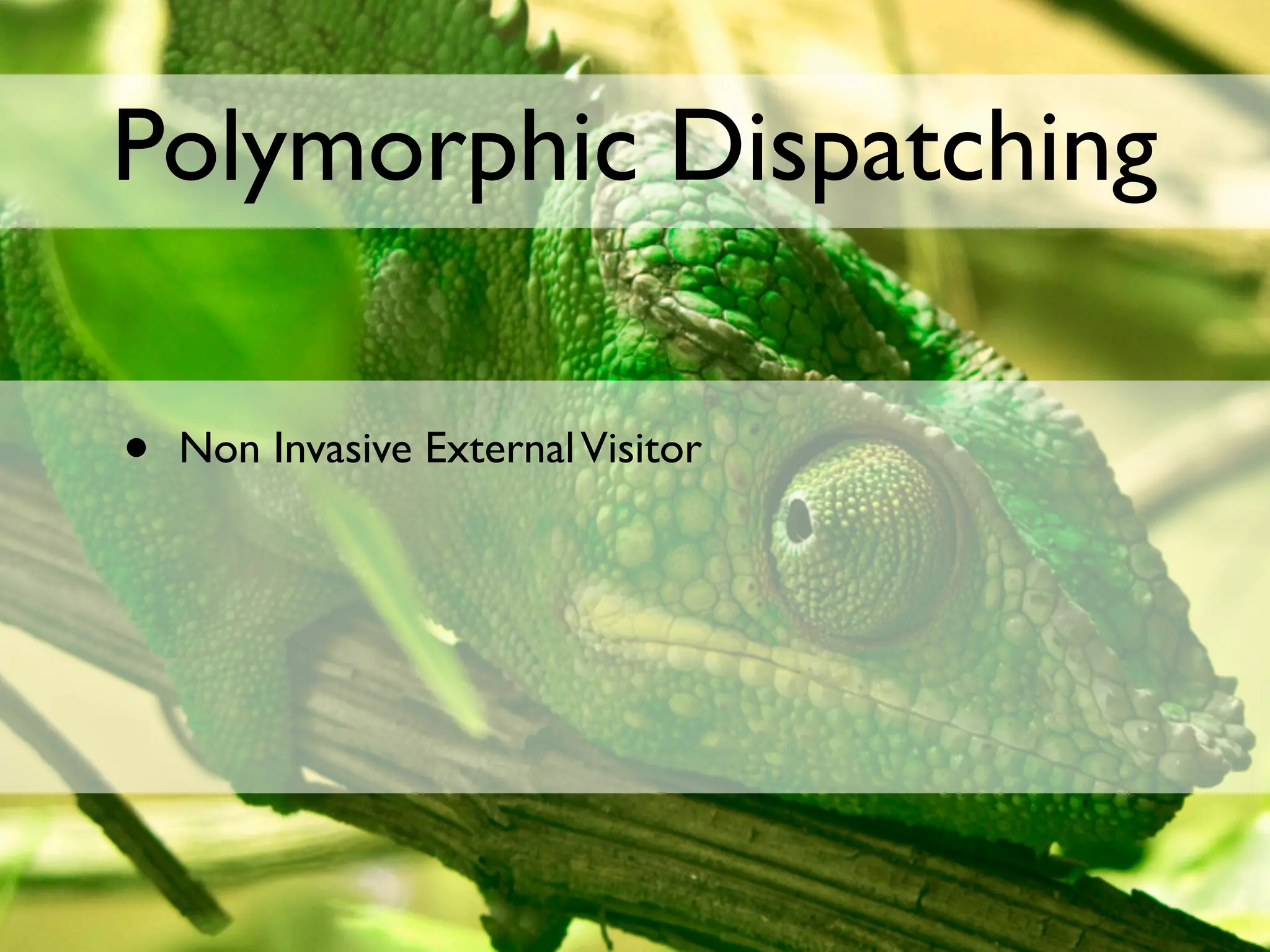 Polymorphic Dispatching

•   Non Invasive External Visitor
 