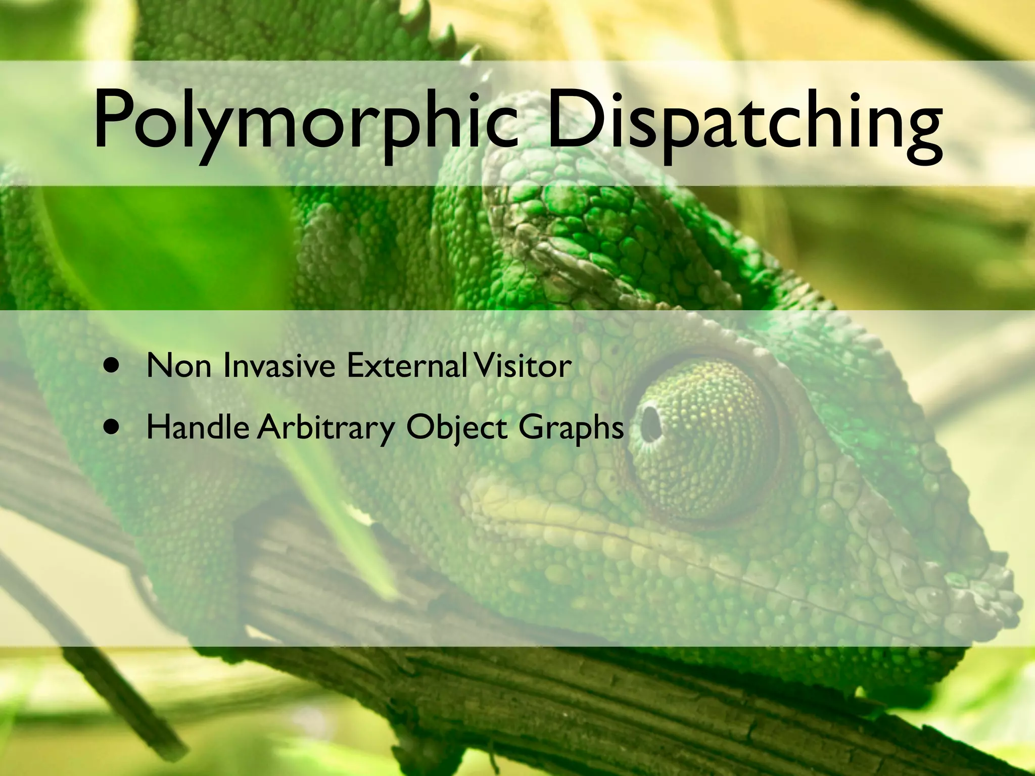 Polymorphic Dispatching

•   Non Invasive External Visitor
•   Handle Arbitrary Object Graphs
 