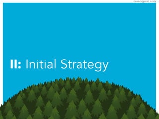 caseorganic.com
II: Initial Strategy
 