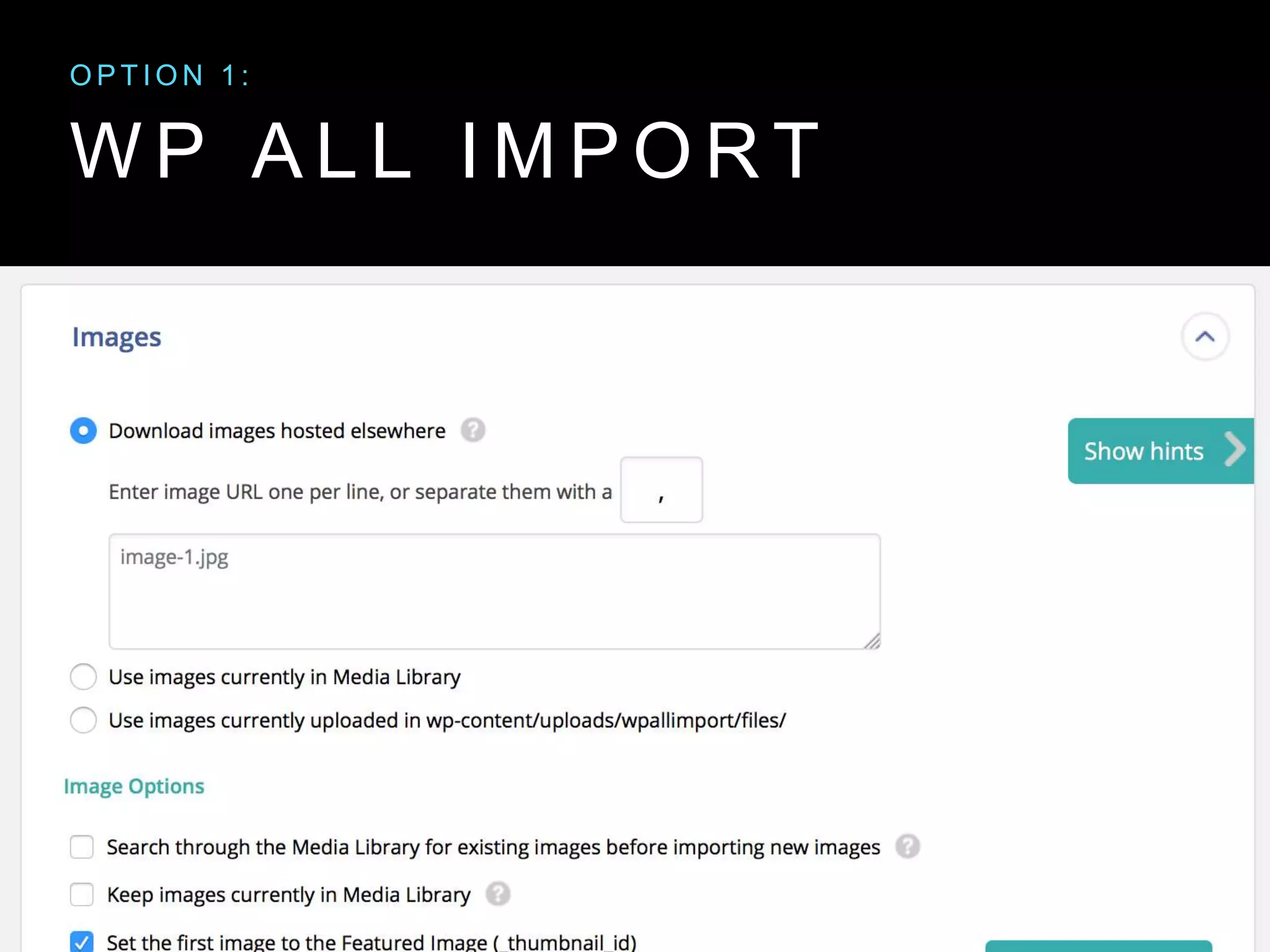 W P A L L I M P O R T
O P T I O N 1 :
 