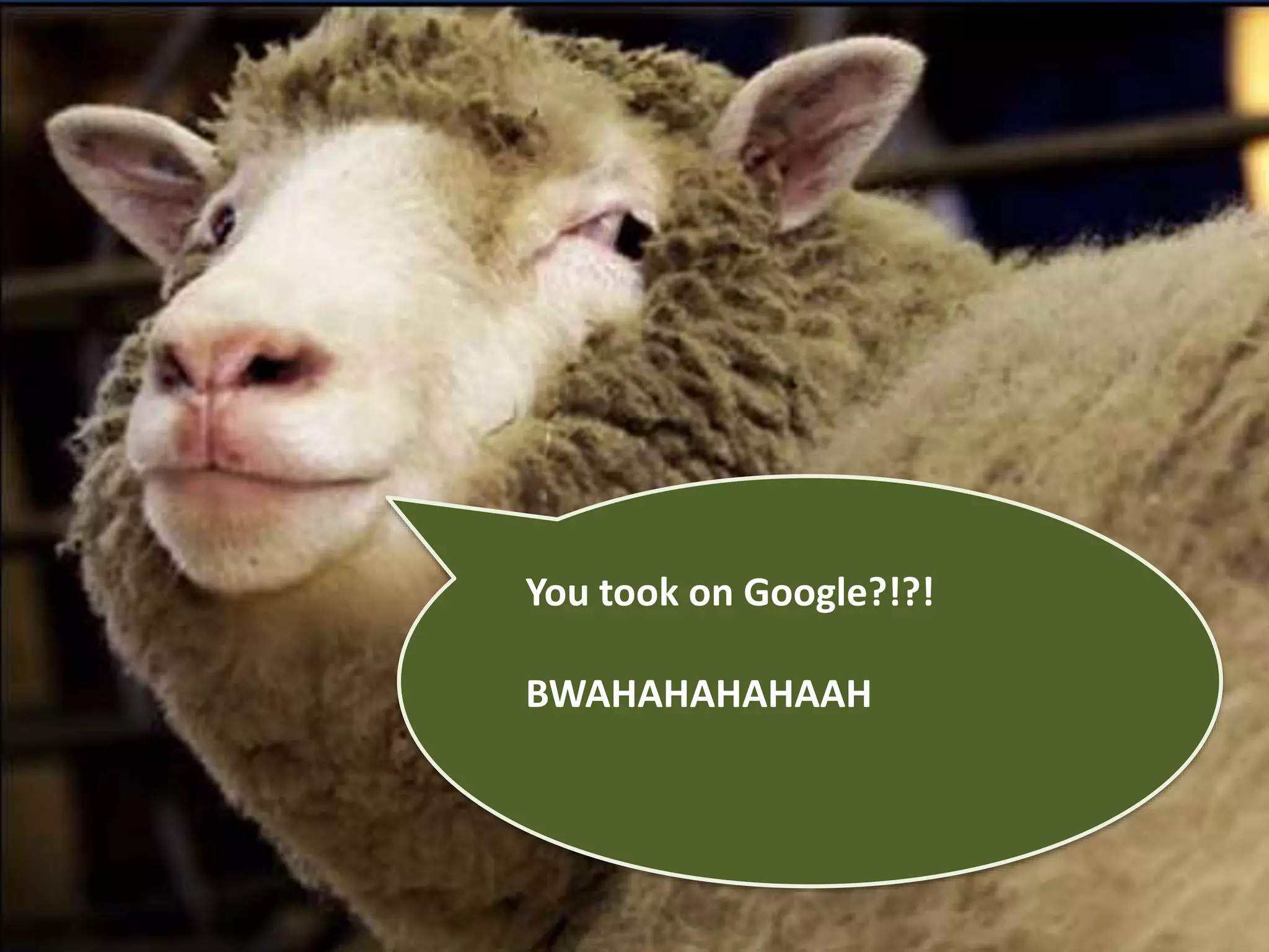 You took on Google?!?! 
BWAHAHAHAHAAH 
 