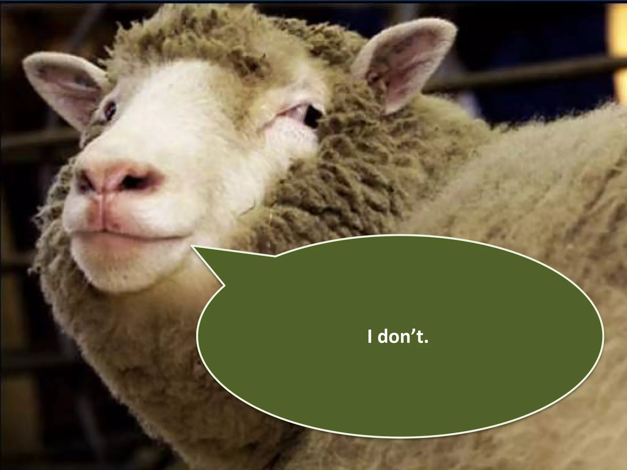 Smug guy 
I don’t. 
 