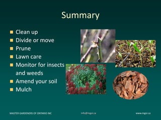 Getting Your Garden Ready for Spring with friends | PPT