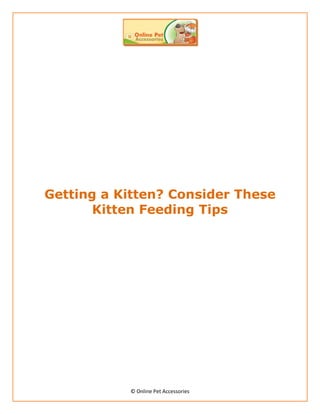 Getting a Kitten? Consider These
       Kitten Feeding Tips




           © Online Pet Accessories
 