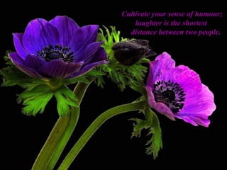 Cultivate your sense of humour; laughter is the shortest      distance between two people. 