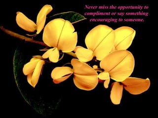 Never miss the opportunity to compliment or say something     encouraging to someone. 