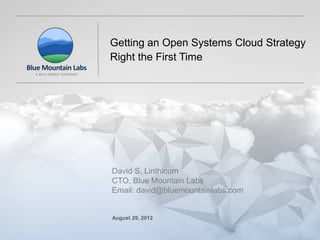 Getting an Open Systems Cloud Strategy
                                                  Right the First Time




                                                  David S. Linthicum
                                                  CTO, Blue Mountain Labs
                                                  Email: david@bluemountainlabs.com


                                                  August 29, 2012

© 2012 Blue Mountain Labs, A Bick Group Company                                       August 29, 2012| Page 1
 
