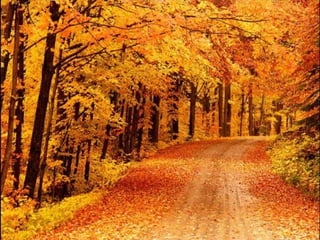 Getting aroundourcountry 