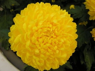 Getting aroundourcountry 