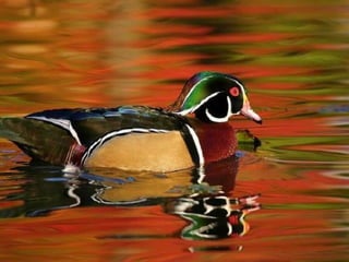 Getting aroundourcountry 