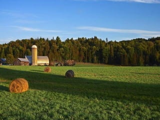 Getting aroundourcountry 