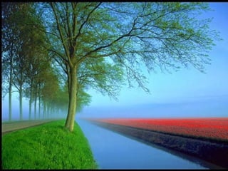 Getting aroundourcountry 