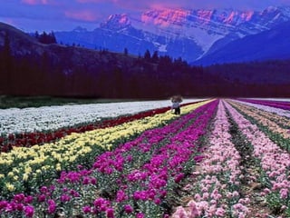 Getting aroundourcountry 