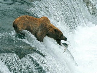 Getting aroundourcountry 