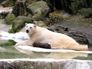 Getting aroundourcountry 